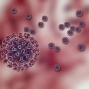 BlackPox