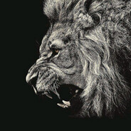 01vodopoyskiy✯ - steam id 76561199439752089