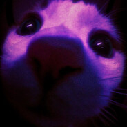 incau Steam avatar