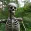 Skeleton