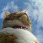 打架少个人，舔包多双手