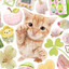buddy cat