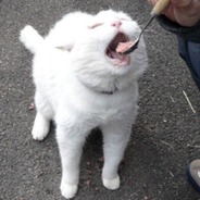 2002 Mazda Protege DX 2.0 DOHC