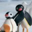 pingu