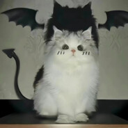 GZ°◆「贵族」猪猪