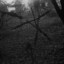 blairwitch
