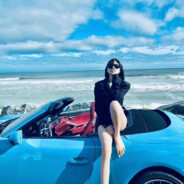 特别行动小组猪猪侠