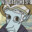 Makintaro