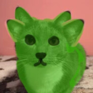 Alien cat