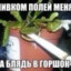Milagro Negro