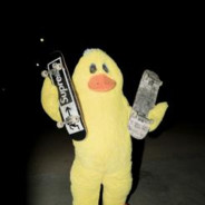 duck