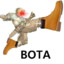 Bota