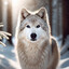 🌙Saphira Arctic Wolf🌙
