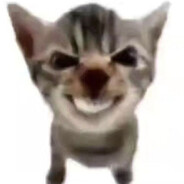 Bobby The Lord - steam id 76561198766329891