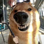 翻斗花园突破手牛爷爷