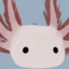 Axolotl_INC