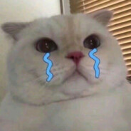 避税多就要被我查