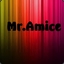 Mr.Amice