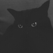 KOOSTEL
