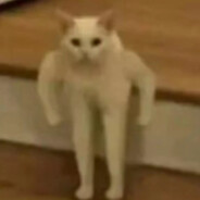 开着老头乐创死所有人