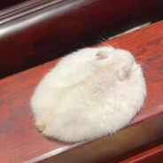 太监爱上太监算南通还