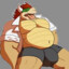 Lewd Bowser