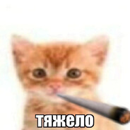 Разбрасыватель говна