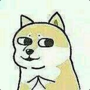 你怎么不起枪啊lyf