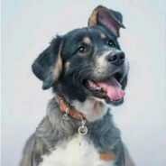 安卓萨尼不爱救人