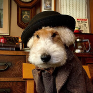 lw_sigmadog