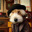 lw_sigmadog
