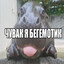 я ебал