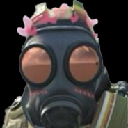 阳光彩虹小王八