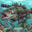 SULLIED TROUT