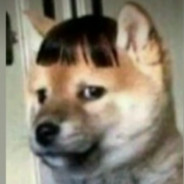 Члены?Пробовал.