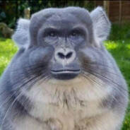 誰もが、他の誰かと違