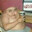 mass_gunner0722