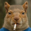 Avatar of ДОСЯ—БЕЛКА