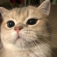 风风火火婷子大小姐