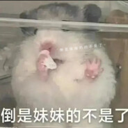 彧中