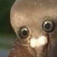 Друг Данила