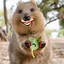 XXXQuokkaLover1337