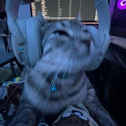 Бездомная сирота