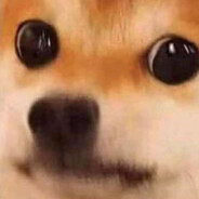 夜袭寡妇村之狗