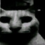 Macik1_3