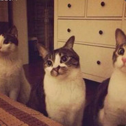 顺丰快递，说寄就寄