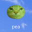 pea