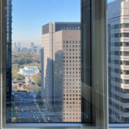 疥癬症タヌキ救いたい