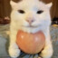 ˢᵐᵉʳᶠᵘᵘ