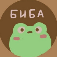 БИБА